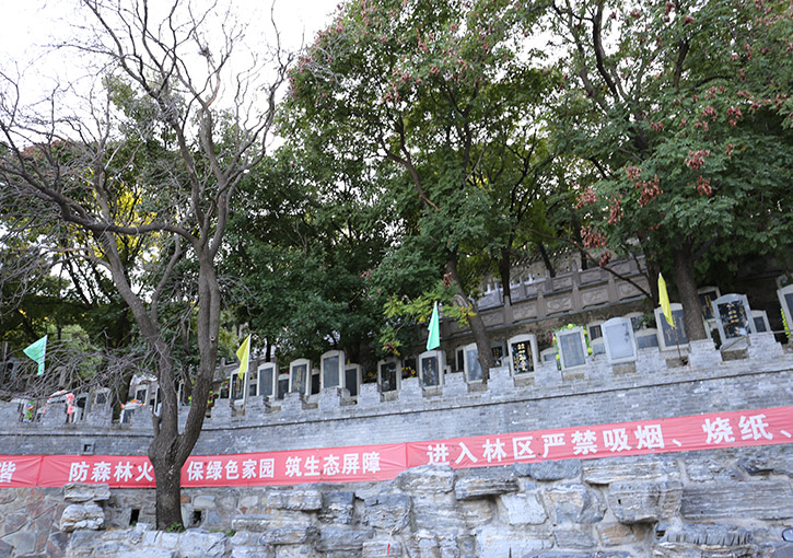 陵园环境